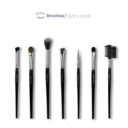 KIT DE BROCHAS PROFESIONAL x50 MONTOC