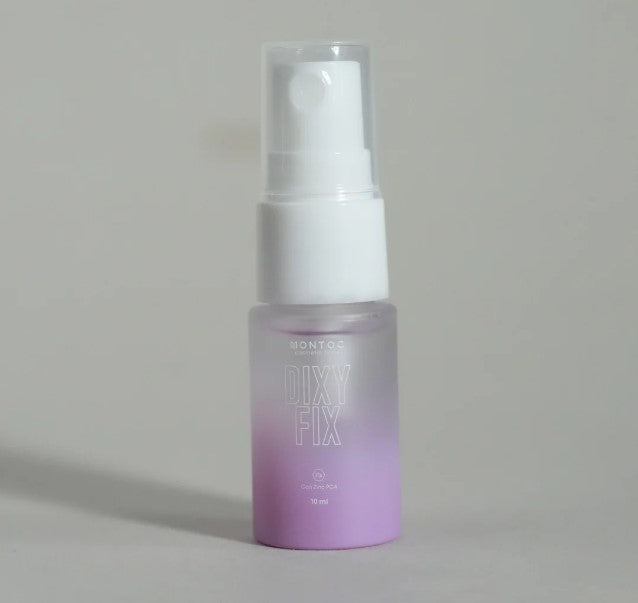 DIXY FIX SELLANTE MINI 10ML MONTOC